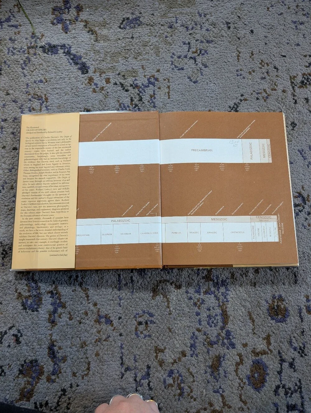 Charles Darwin - The Illustrated Origin of Species - Hardcover Edition 1979‎